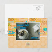 Carte Postale Je l'ai fait peluche fourrure vous (Devant / Derrière)