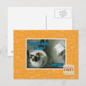 Carte Postale Je l'ai fait peluche fourrure vous (Devant / Derrière)