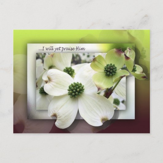 Carte Postale Je Le Louerai Pourtant (Devant)