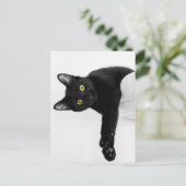 Carte Postale Je me mange (Debout devant)