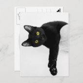 Carte Postale Je me mange (Devant / Derrière)