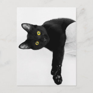 Carte Postale Je me mange