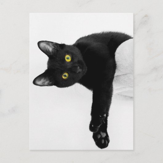 Carte Postale Je me mange (Devant)