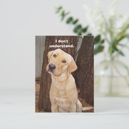 Carte Postale Je ne comprends pas. (Debout devant)