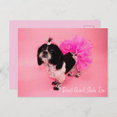 Carte Postale Je ne donne pas un tzu chiite (Devant / Derrière)