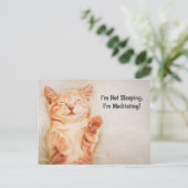 Carte Postale Je ne dors pas, je suis en train de Méditer Funny (Debout devant)