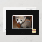 Carte Postale Je ne l'ai pas fait. (Devant / Derrière)