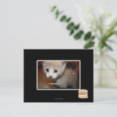 Carte Postale Je ne l'ai pas fait. (Debout devant)