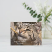 Carte Postale Je ne mange que des souris végétariennes. (Debout devant)