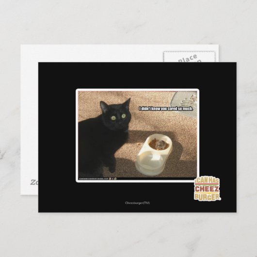 Carte Postale Je ne sais pas si vous vous en souciez (Devant / Derrière)