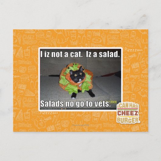Carte Postale Je ne suis pas un chat. Iz une salade. (Devant)