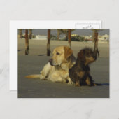 Carte Postale Je ne te parle pas (Devant / Derrière)