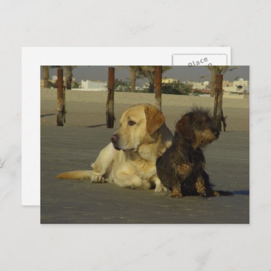 Carte Postale Je ne te parle pas (Devant / Derrière)