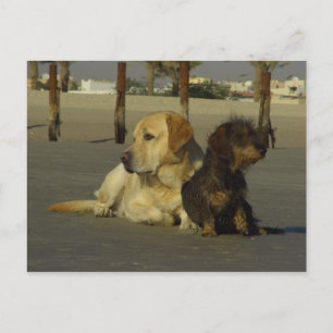 Carte Postale Je ne te parle pas