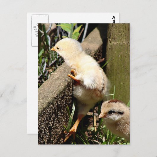 Carte Postale Je pense que je peux... (Devant / Derrière)