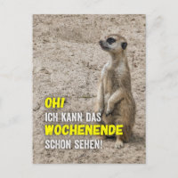Je peux déjà voir le week-end - suricate