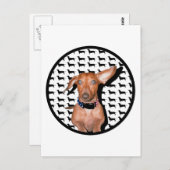 Carte Postale Je Peux Vous Entendre (Devant / Derrière)