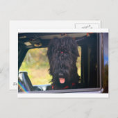 Carte Postale Je possède cette jeep (Devant / Derrière)