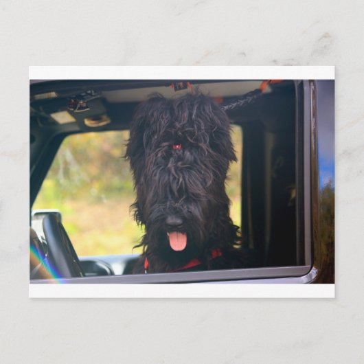 Carte Postale Je possède cette jeep (Devant)