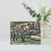 Carte Postale Je rigole hyena_ver. 3.0 [Carte postale] (Debout devant)