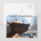 Carte Postale Je sens des clydesdales (Devant / Derrière)