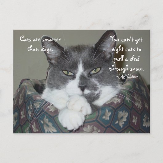 Carte Postale Je Suis Chat... (Devant)