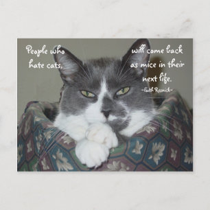 Carte Postale Je Suis Chat...