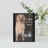 Carte Postale Je suis content que tu sois mon ami ! (Debout devant)