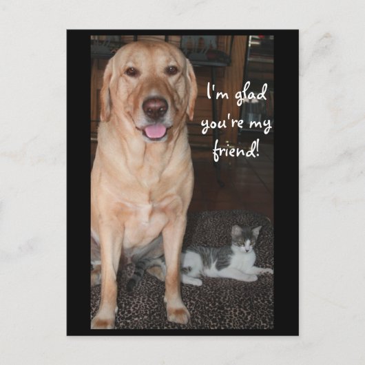 Carte Postale Je suis content que tu sois mon ami ! (Devant)