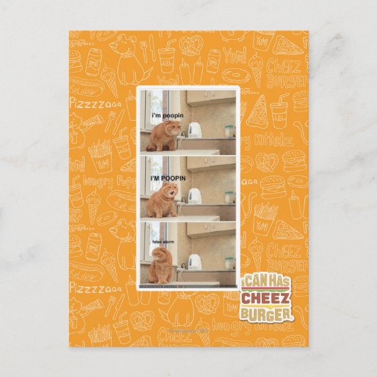 Carte Postale Je suis de la foutaise ! (Devant)