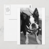 CARTE POSTALE JE SUIS DÉSOLÉ (Devant / Derrière)