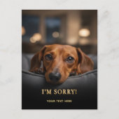 Carte postale Je suis désolé adorable Dachshund (Devant)