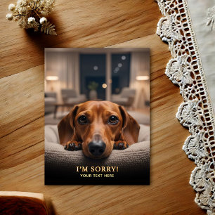 Carte postale Je suis désolé Dachshund adorable