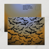 Je suis devenue folle des chauves-souris noires et
