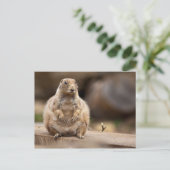 Carte Postale Je suis donc un peu court pour mon poids (Debout devant)