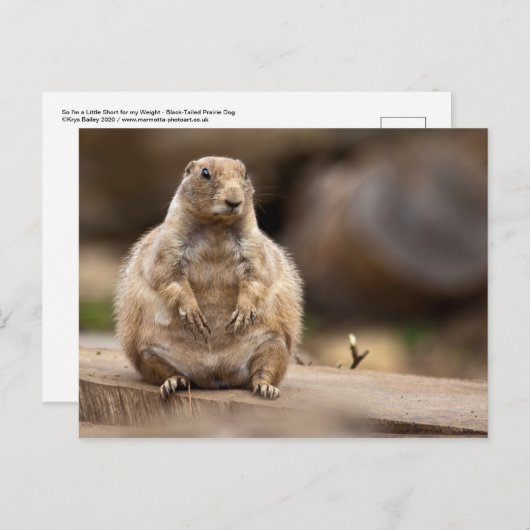 Carte Postale Je suis donc un peu court pour mon poids (Devant / Derrière)