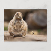 Carte Postale Je suis donc un peu court pour mon poids (Devant)