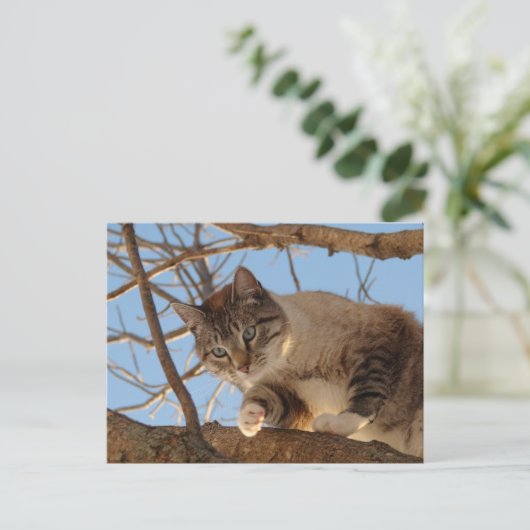 Carte Postale Je suis ici (Debout devant)