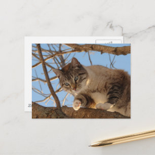 Carte Postale Je suis ici