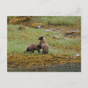 Carte Postale Je suis le patron