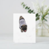 Carte Postale "Je suis le patron" (Debout devant)