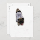 Carte Postale "Je suis le patron" (Devant / Derrière)