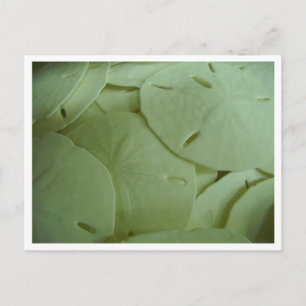 Carte Postale Je suis riche !