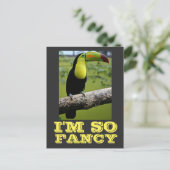 CARTE POSTALE JE SUIS TELLEMENT FANCY TOUCAN POSTCARDS (Debout devant)
