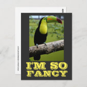 CARTE POSTALE JE SUIS TELLEMENT FANCY TOUCAN POSTCARDS (Devant / Derrière)
