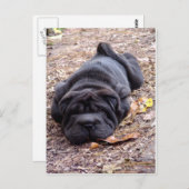 Carte Postale Je suis tout joué ! (Devant / Derrière)