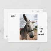 Carte Postale Je suis toutes les oreilles (Devant / Derrière)