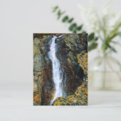 CARTE POSTALE JE SUIS TROP SEUL DANS LE MONDE (Debout devant)