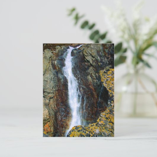 CARTE POSTALE JE SUIS TROP SEUL DANS LE MONDE (Debout devant)