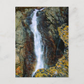 CARTE POSTALE JE SUIS TROP SEUL DANS LE MONDE (Devant)